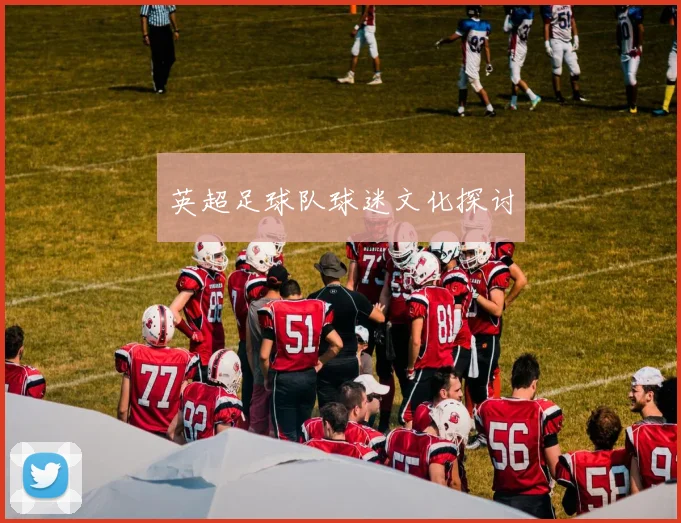 英超足球队球迷文化探讨