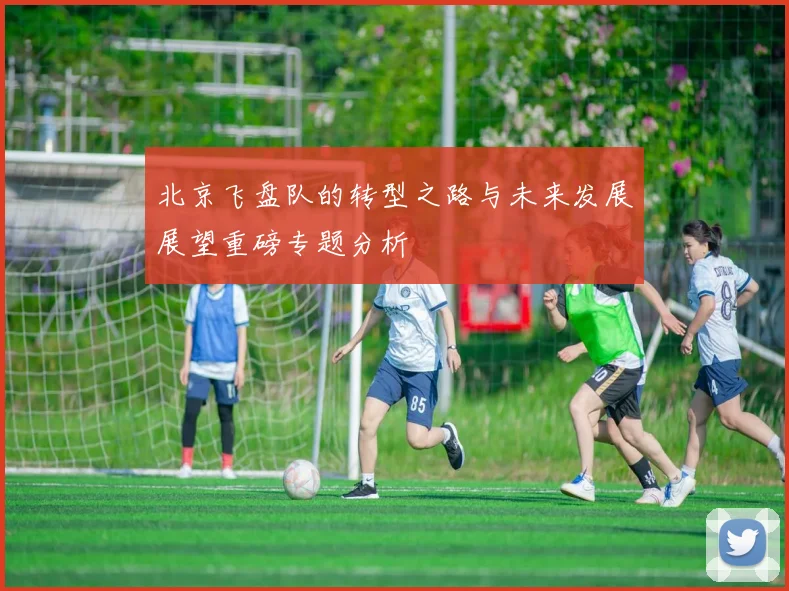 北京飞盘队的转型之路与未来发展展望重磅专题分析