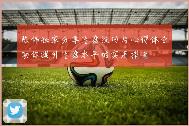陈伟独家分享飞盘技巧与心得体会助你提升飞盘水平的实用指南