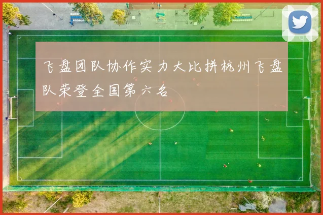 飞盘团队协作实力大比拼杭州飞盘队荣登全国第六名